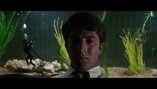 vlcsnap-2017-05-23-09h01m42s492