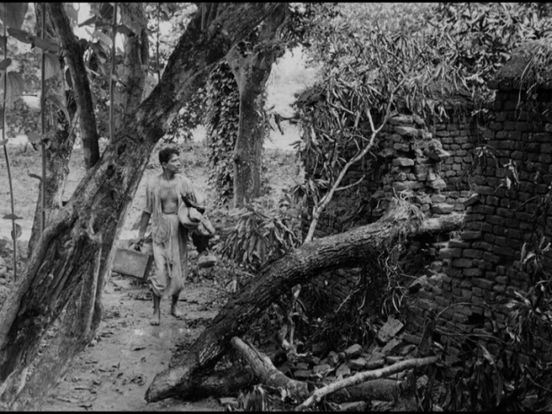 vlcsnap-2017-05-27-14h54m48s887