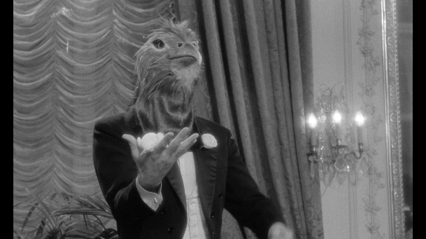 vlcsnap-2017-05-28-22h02m10s867