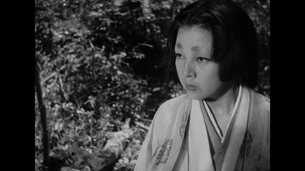 vlcsnap-2017-06-13-22h35m42s309