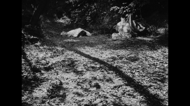 vlcsnap-2017-06-13-22h35m57s806