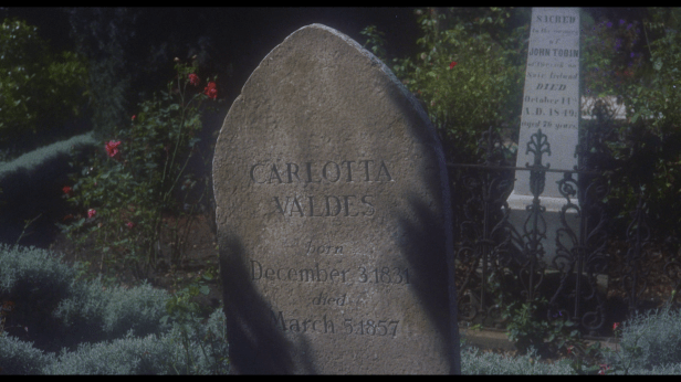 vlcsnap-2017-07-16-20h14m26s175