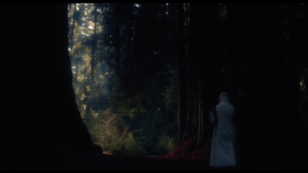 vlcsnap-2017-07-16-20h15m30s847