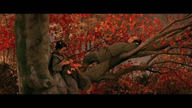 vlcsnap-2017-08-13-17h01m29s262