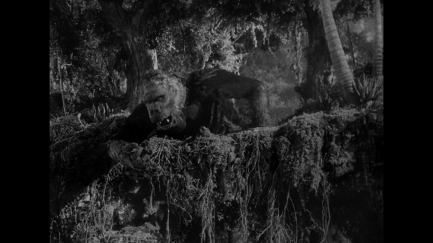 vlcsnap-2017-09-17-14h59m52s521