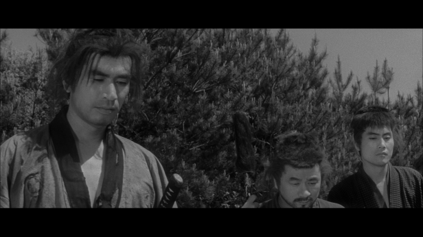 vlcsnap-2017-11-22-19h14m51s607