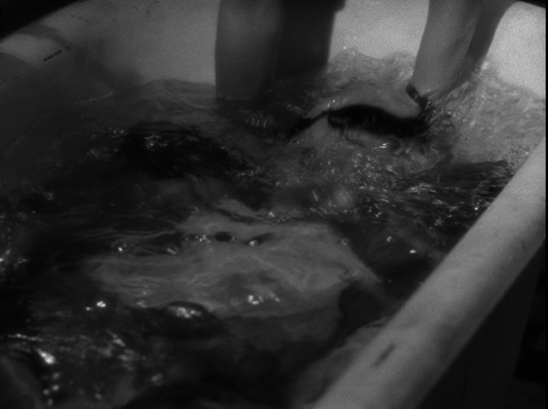 2018-02-10 (101).png